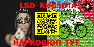 соль ск Новозыбков
