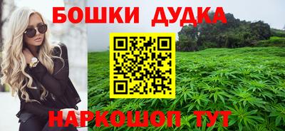 соль ск Новозыбков