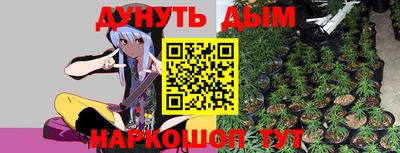 соль ск Новозыбков