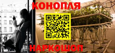 соль ск Новозыбков
