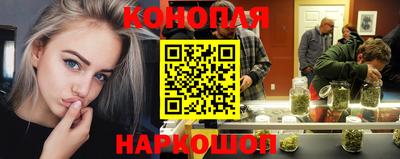 соль ск Новозыбков