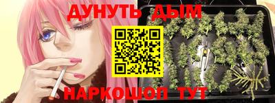 прущие крисы Новокубанск